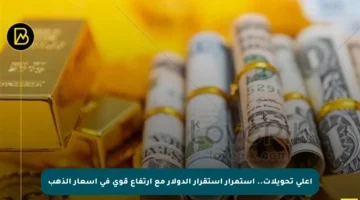 أعلى تحويلات.. استمرار استقرار الدولار مع ارتفاع قوي في أسعار الذهب